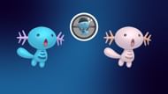 Regular and shiny Wooper (Image via TPC)